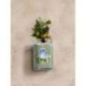 Yc Signature - świeca duża Olive & Cypress Yc Signature - świeca duża Olive & Cypress