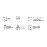 Pościel flanela wz.4948A /160/