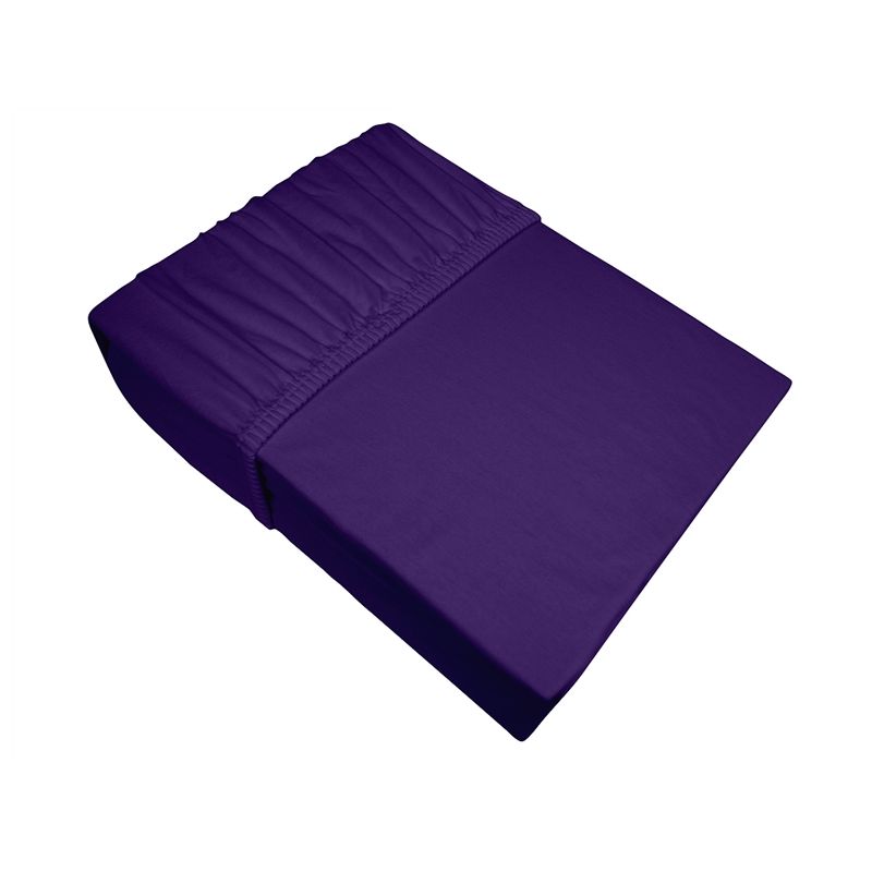 Prześcieradło Frotex Jersey 160X200 Śliw 051