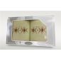 Komplet Frotex Gift 2 50,70 Wzór 4 Krem