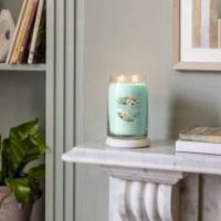 Świeca duża Yankee Candle Signature Aloe&Agave