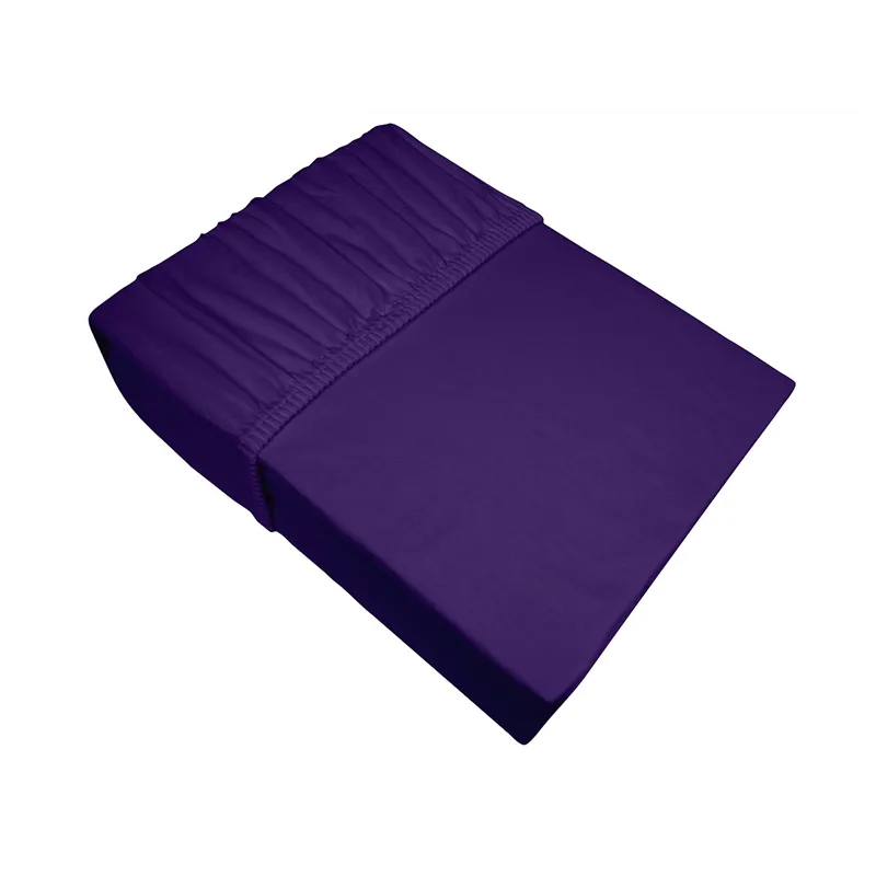 Prześcieradło Frotex Jersey 220X200 Śliw 051