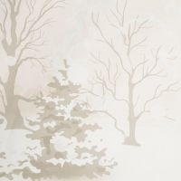 SW/POS/SNOWFLAKE 160X200 70X80/X2