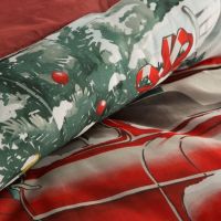 SW/POS/XMAS 160X200 70X80/X2