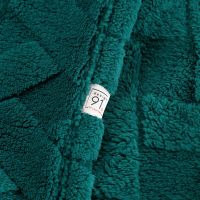 D91/K/CARO 170X210 C.ZIEL
