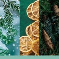 YC Signature Tumbler z 1 knotem Holiday Winterfest