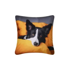 Poszewka Dekoracyjna 42x42 BORDER COLLIE