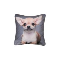 Poszewka Dekoracyjna 42x42 CHIHUAHUA