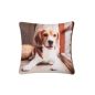 Poszewka Dekoracyjna 42x42 Beagle