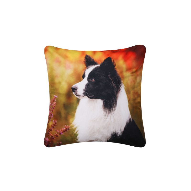 Poszewka Dekoracyjna 42x42 BORDER COLLIE