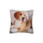 Poszewka Dekoracyjna 42x42 Beagle Poszewka Dekoracyjna 42x42 Beagle