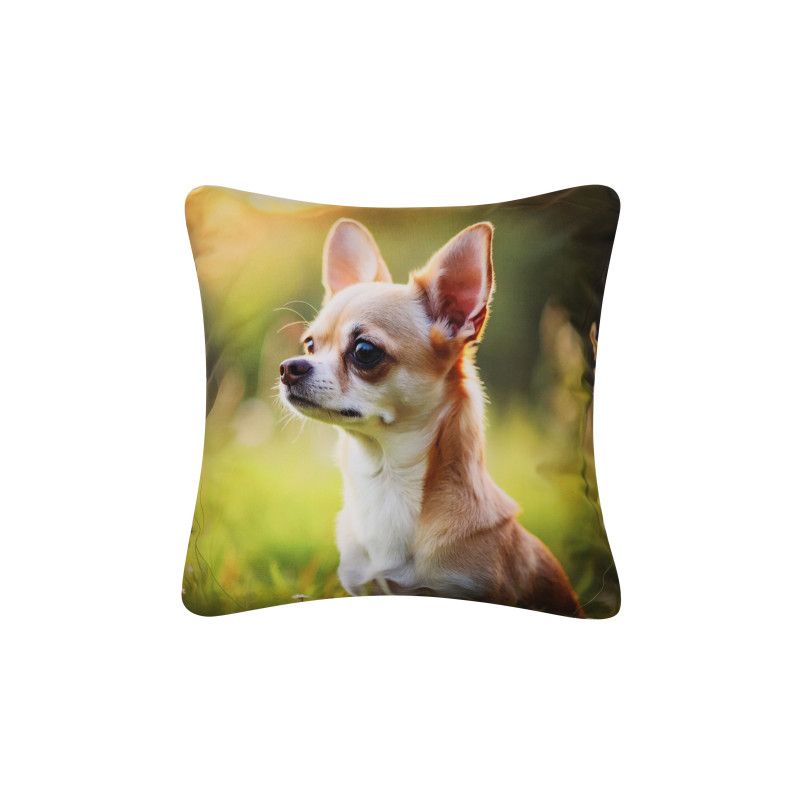 Poszewka Dekoracyjna 42x42 CHIHUAHUA