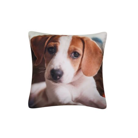 Poszewka Dekoracyjna 42x42 BEAGLE