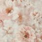 D91/POS/FLORINA 220X200 70X80/X2 D91/POS/FLORINA 220X200 70X80/X2
