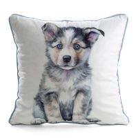 CHP/ANIMAL/83 45X45