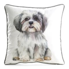 CHP/ANIMAL/85 45X45