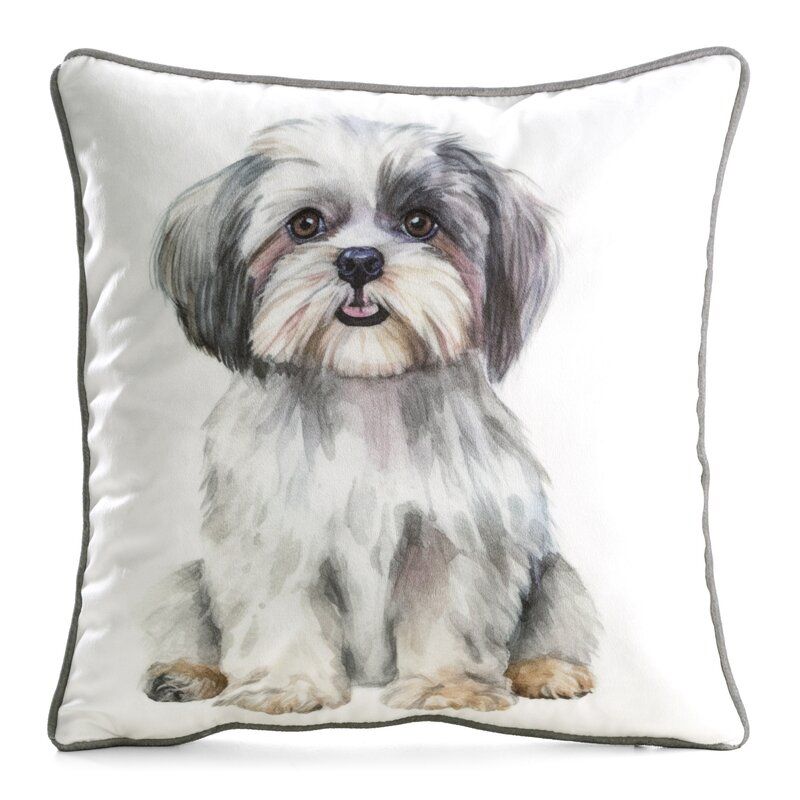 CHP/ANIMAL/85 45X45