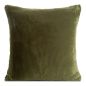 CHP/NINA/OLIW 60X60 oliwkowy