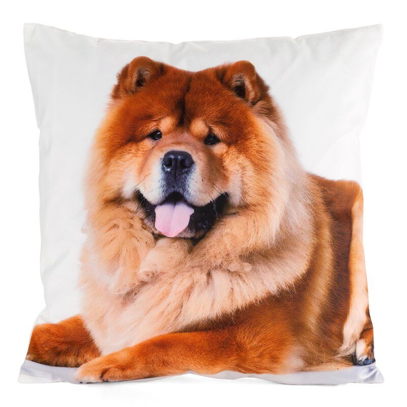 CHP/ANIMAL/73 45X45