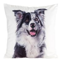 CHP/ANIMAL/77 45X45