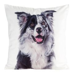 CHP/ANIMAL/77 45X45