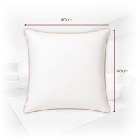 Poduszka półpuchowa 40x40 0,3 kg jasiek ecru | Kora