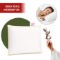 Poduszka Półpuch Ecru Naturalne Wypełnienie Poszycie Bawełna 100% 50x60 Poduszka Półpuch Ecru Naturalne Wypełnienie Poszycie Bawełna 100% 50x60
