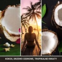 Świeca Yankee Candle Black Coconut mini