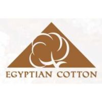Ręcznik Egyptian 50/90 Carmel