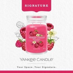 ŚWIECA YANKEE CANDLE RED RASPBERRY