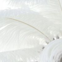 Lampa Eurofirany Feri (6) o 95 x 180 cm srebrny